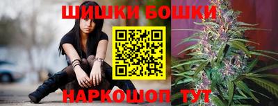 гидра Новокубанск