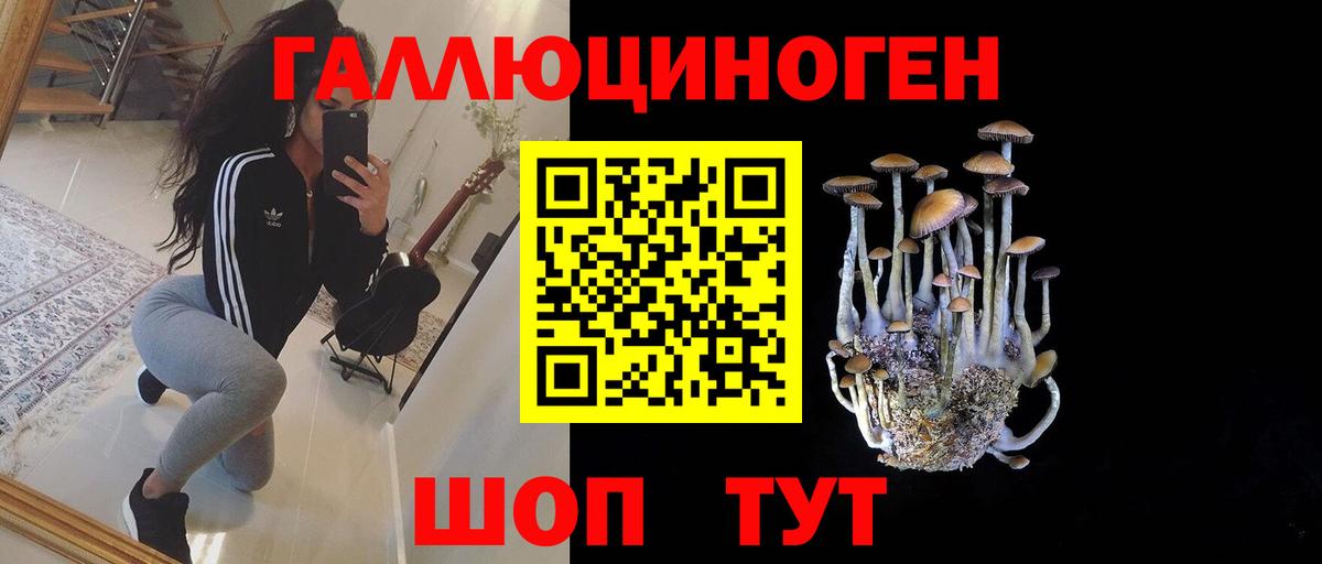как найти закладки  Псилоцибиновые грибы Cubensis  Вход с VPN  Пугачёв 