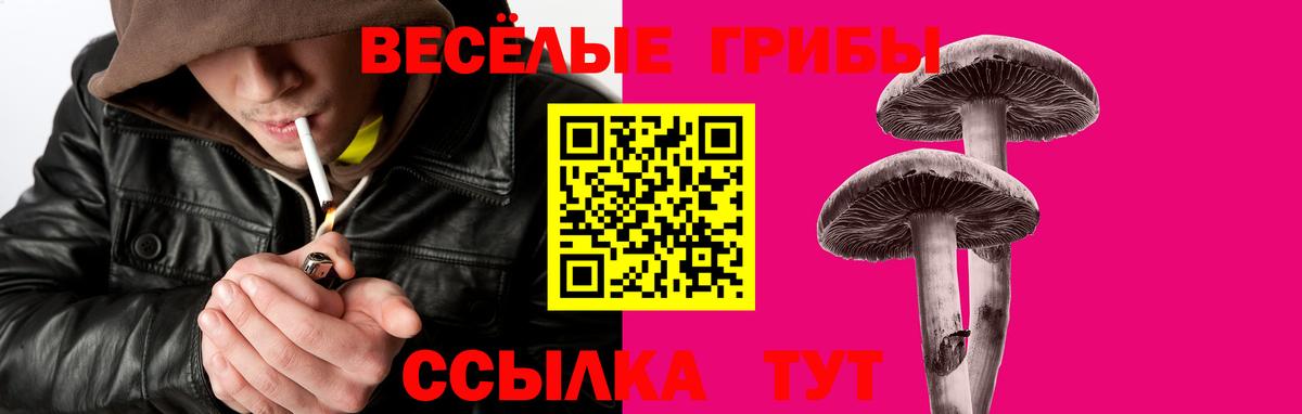 Галлюциногенные грибы мицелий Пугачёв